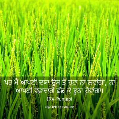 Picture 03 - ਜ਼ਬੂਰ 89:33 PANIRV - ਪਰ ਮੈਂ ਆਪਣੀ ਦਯਾ ਉਸ - Bible Verse Picture
