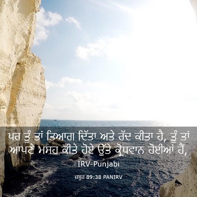 Picture 03 - ਜ਼ਬੂਰ 89:38 PANIRV - ਪਰ ਤੂੰ ਤਾਂ ਤਿਆਗ - Bible Verse Picture