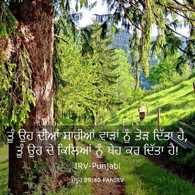 Picture 03 - ਜ਼ਬੂਰ 89:40 PANIRV - ਤੂੰ ਉਹ ਦੀਆਂ ਸਾਰੀਆਂ - Bible Verse Picture