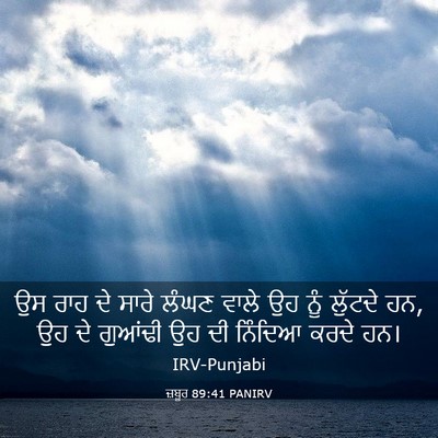 Picture 03 - ਜ਼ਬੂਰ 89:41 PANIRV - ਉਸ ਰਾਹ ਦੇ ਸਾਰੇ ਲੰਘਣ - Bible Verse Picture