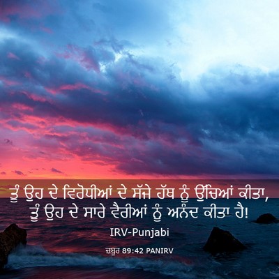Picture 03 - ਜ਼ਬੂਰ 89:42 PANIRV - ਤੂੰ ਉਹ ਦੇ ਵਿਰੋਧੀਆਂ - Bible Verse Picture
