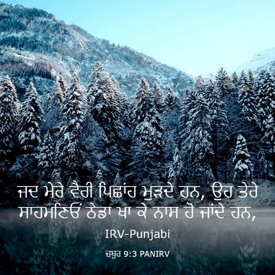 Picture 03 - ਜ਼ਬੂਰ 9:3 PANIRV - ਜਦ ਮੇਰੇ ਵੈਰੀ - Bible Verse Picture