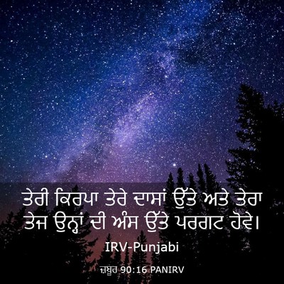 Picture 03 - ਜ਼ਬੂਰ 90:16 PANIRV - ਤੇਰੀ ਕਿਰਪਾ ਤੇਰੇ - Bible Verse Picture