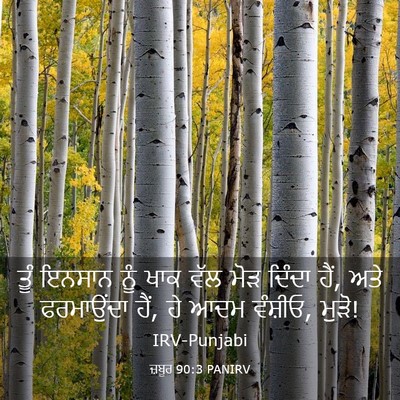 Picture 03 - ਜ਼ਬੂਰ 90:3 PANIRV - ਤੂੰ ਇਨਸਾਨ ਨੂੰ ਖਾਕ - Bible Verse Picture