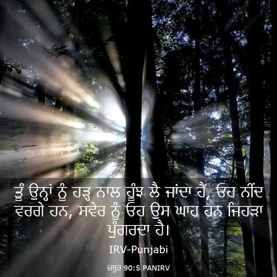 Picture 03 - ਜ਼ਬੂਰ 90:5 PANIRV - ਤੂੰ ਉਨ੍ਹਾਂ ਨੂੰ - Bible Verse Picture