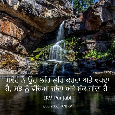 Picture 03 - ਜ਼ਬੂਰ 90:6 PANIRV - ਸਵੇਰ ਨੂੰ ਉਹ ਲਹਿ ਲਹਿ - Bible Verse Picture