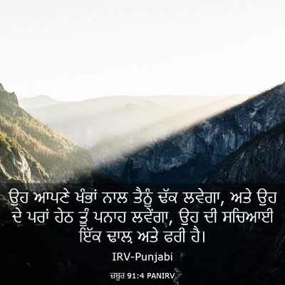 Picture 03 - ਜ਼ਬੂਰ 91:4 PANIRV - ਉਹ ਆਪਣੇ ਖੰਭਾਂ ਨਾਲ - Bible Verse Picture