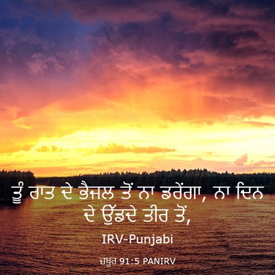 Picture 03 - ਜ਼ਬੂਰ 91:5 PANIRV - ਤੂੰ ਰਾਤ ਦੇ ਭੈਜਲ ਤੋਂ - Bible Verse Picture