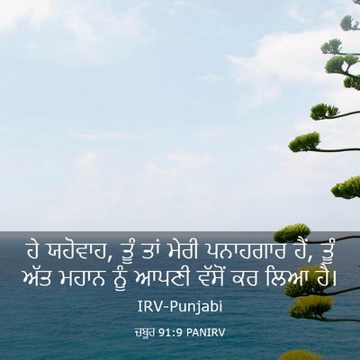 Picture 03 - ਜ਼ਬੂਰ 91:9 PANIRV - ਹੇ ਯਹੋਵਾਹ, ਤੂੰ ਤਾਂ - Bible Verse Picture
