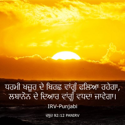 Picture 03 - ਜ਼ਬੂਰ 92:12 PANIRV - ਧਰਮੀ ਖਜ਼ੂਰ ਦੇ ਬਿਰਛ - Bible Verse Picture