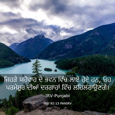 Picture 03 - ਜ਼ਬੂਰ 92:13 PANIRV - ਜਿਹੜੇ ਯਹੋਵਾਹ ਦੇ - Bible Verse Picture
