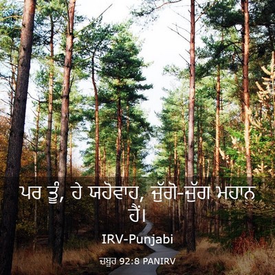 Picture 03 - ਜ਼ਬੂਰ 92:8 PANIRV - ਪਰ ਤੂੰ, ਹੇ ਯਹੋਵਾਹ, - Bible Verse Picture