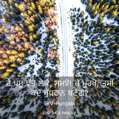Picture 03 - ਜ਼ਬੂਰ 94:8 PANIRV - ਹੇ ਪਸ਼ੂ ਵੱਤ ਲੋਕੋ, - Bible Verse Picture