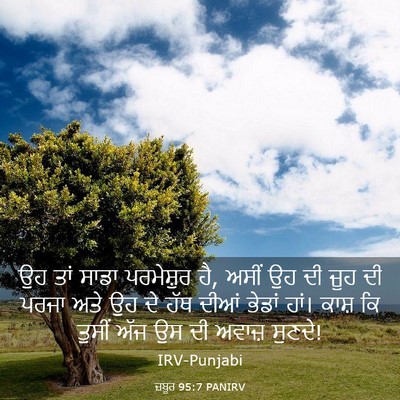 Picture 03 - ਜ਼ਬੂਰ 95:7 PANIRV - ਉਹ ਤਾਂ ਸਾਡਾ - Bible Verse Picture