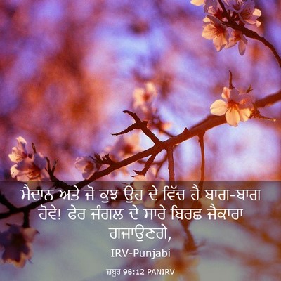 Picture 03 - ਜ਼ਬੂਰ 96:12 PANIRV - ਮੈਦਾਨ ਅਤੇ ਜੋ ਕੁਝ ਉਹ - Bible Verse Picture