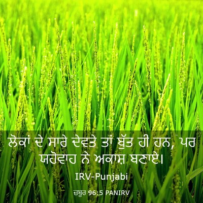 Picture 03 - ਜ਼ਬੂਰ 96:5 PANIRV - ਲੋਕਾਂ ਦੇ ਸਾਰੇ - Bible Verse Picture