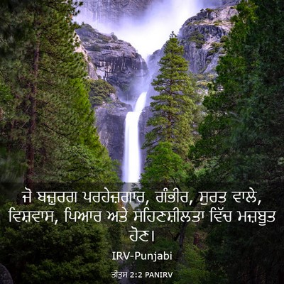 Picture 03 - ਤੀਤੁਸ 2:2 PANIRV - ਜੋ ਬਜ਼ੁਰਗ - Bible Verse Picture