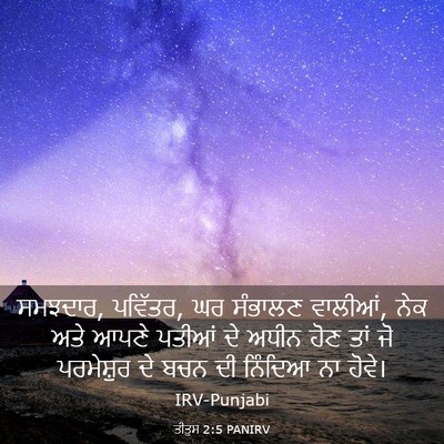 Picture 03 - ਤੀਤੁਸ 2:5 PANIRV - ਸਮਝਦਾਰ, ਪਵਿੱਤਰ, ਘਰ - Bible Verse Picture