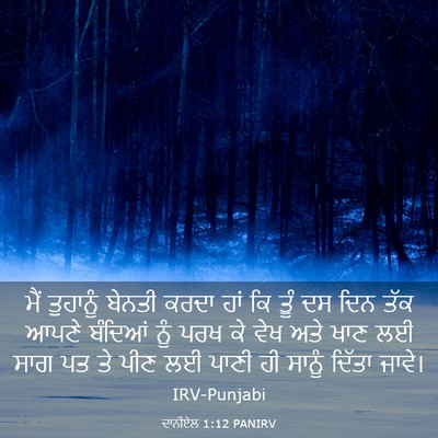 Picture 03 - ਦਾਨੀਏਲ 1:12 PANIRV - ਮੈਂ ਤੁਹਾਨੂੰ ਬੇਨਤੀ - Bible Verse Picture