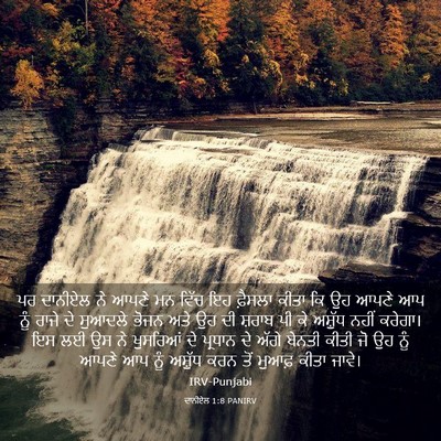 Picture 03 - ਦਾਨੀਏਲ 1:8 PANIRV - ਪਰ ਦਾਨੀਏਲ ਨੇ ਆਪਣੇ - Bible Verse Picture