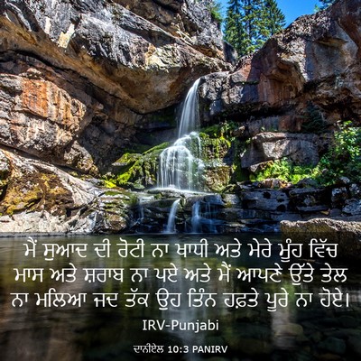 Picture 03 - ਦਾਨੀਏਲ 10:3 PANIRV - ਮੈਂ ਸੁਆਦ ਦੀ ਰੋਟੀ ਨਾ - Bible Verse Picture