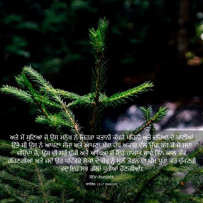 Picture 03 - ਦਾਨੀਏਲ 12:7 PANIRV - ਅਤੇ ਮੈਂ ਸੁਣਿਆ ਜੋ ਉਸ - Bible Verse Picture