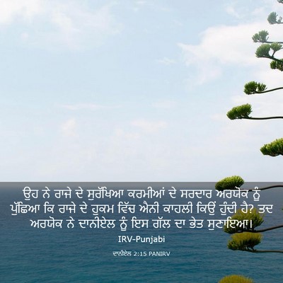 Picture 03 - ਦਾਨੀਏਲ 2:15 PANIRV - ਉਹ ਨੇ ਰਾਜੇ ਦੇ - Bible Verse Picture