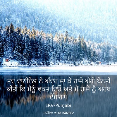 Picture 03 - ਦਾਨੀਏਲ 2:16 PANIRV - ਤਦ ਦਾਨੀਏਲ ਨੇ ਅੰਦਰ - Bible Verse Picture