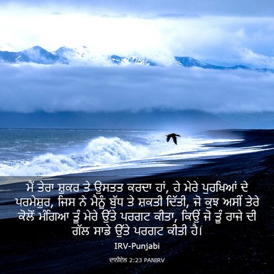 Picture 03 - ਦਾਨੀਏਲ 2:23 PANIRV - ਮੈਂ ਤੇਰਾ ਸ਼ੁਕਰ ਤੇ - Bible Verse Picture