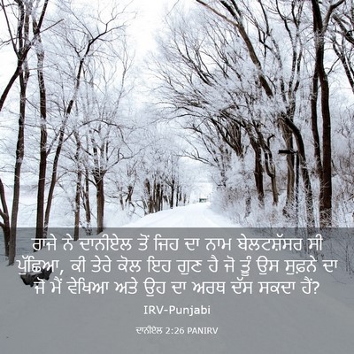 Picture 03 - ਦਾਨੀਏਲ 2:26 PANIRV - ਰਾਜੇ ਨੇ ਦਾਨੀਏਲ ਤੋਂ - Bible Verse Picture