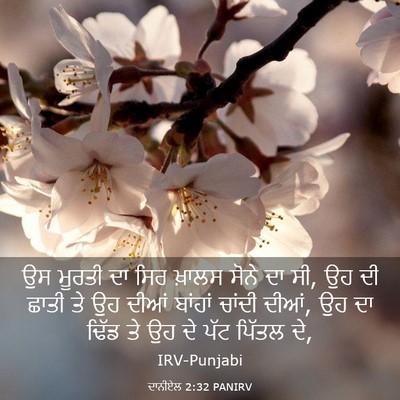 Picture 03 - ਦਾਨੀਏਲ 2:32 PANIRV - ਉਸ ਮੂਰਤੀ ਦਾ ਸਿਰ - Bible Verse Picture