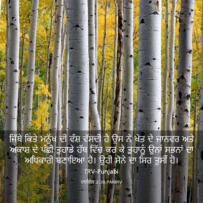 Picture 03 - ਦਾਨੀਏਲ 2:38 PANIRV - ਜਿੱਥੇ ਕਿਤੇ ਮਨੁੱਖ - Bible Verse Picture