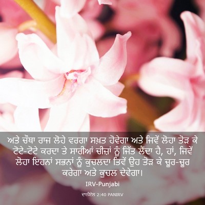 Picture 03 - ਦਾਨੀਏਲ 2:40 PANIRV - ਅਤੇ ਚੌਥਾ ਰਾਜ ਲੋਹੇ - Bible Verse Picture