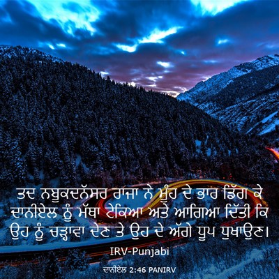Picture 03 - ਦਾਨੀਏਲ 2:46 PANIRV - ਤਦ ਨਬੂਕਦਨੱਸਰ ਰਾਜਾ - Bible Verse Picture