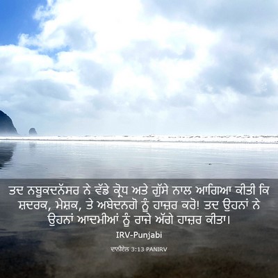 Picture 03 - ਦਾਨੀਏਲ 3:13 PANIRV - ਤਦ ਨਬੂਕਦਨੱਸਰ ਨੇ - Bible Verse Picture