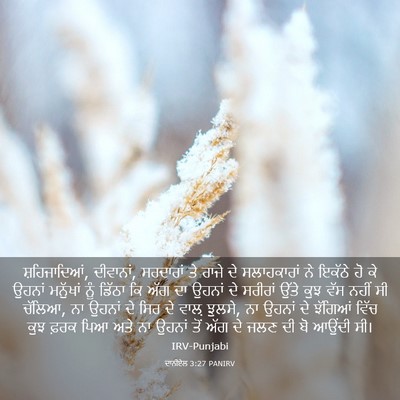 Picture 03 - ਦਾਨੀਏਲ 3:27 PANIRV - ਸ਼ਹਿਜਾਦਿਆਂ, - Bible Verse Picture
