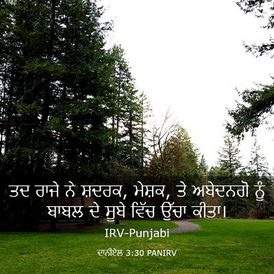 Picture 03 - ਦਾਨੀਏਲ 3:30 PANIRV - ਤਦ ਰਾਜੇ ਨੇ ਸ਼ਦਰਕ, - Bible Verse Picture