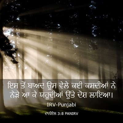 Picture 03 - ਦਾਨੀਏਲ 3:8 PANIRV - ਇਸ ਤੋਂ ਬਾਅਦ ਉਸ ਵੇਲੇ - Bible Verse Picture