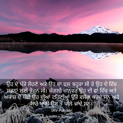 Picture 03 - ਦਾਨੀਏਲ 4:12 PANIRV - ਉਹ ਦੇ ਪੱਤੇ ਸੋਹਣੇ - Bible Verse Picture