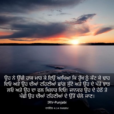 Picture 03 - ਦਾਨੀਏਲ 4:14 PANIRV - ਉਹ ਨੇ ਉੱਚੀ ਹਾਕ ਮਾਰ - Bible Verse Picture