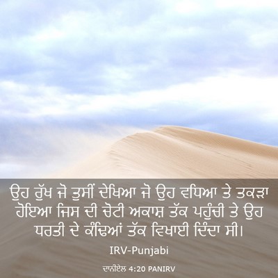 Picture 03 - ਦਾਨੀਏਲ 4:20 PANIRV - ਉਹ ਰੁੱਖ ਜੋ ਤੁਸੀਂ - Bible Verse Picture