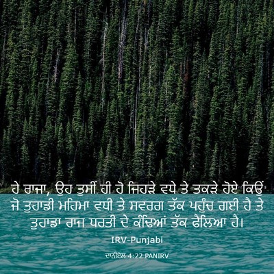 Picture 03 - ਦਾਨੀਏਲ 4:22 PANIRV - ਹੇ ਰਾਜਾ, ਉਹ ਤੁਸੀਂ - Bible Verse Picture