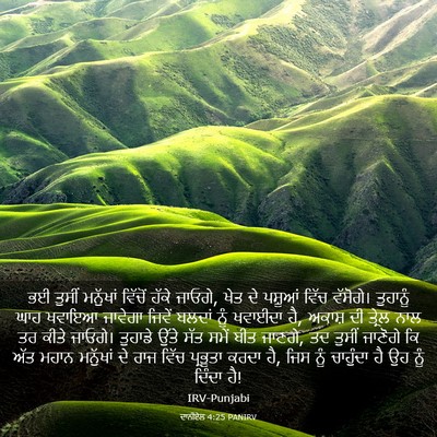 Picture 03 - ਦਾਨੀਏਲ 4:25 PANIRV - ਭਈ ਤੁਸੀਂ ਮਨੁੱਖਾਂ - Bible Verse Picture
