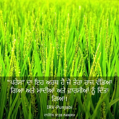 Picture 03 - ਦਾਨੀਏਲ 5:28 PANIRV - “ਪਰੇਸ” ਦਾ ਇਹ ਅਰਥ ਹੈ - Bible Verse Picture
