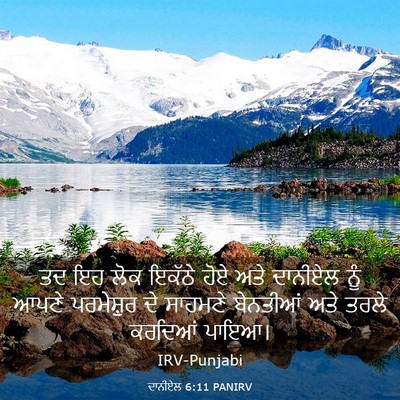 Picture 03 - ਦਾਨੀਏਲ 6:11 PANIRV - ਤਦ ਇਹ ਲੋਕ ਇਕੱਠੇ ਹੋਏ - Bible Verse Picture