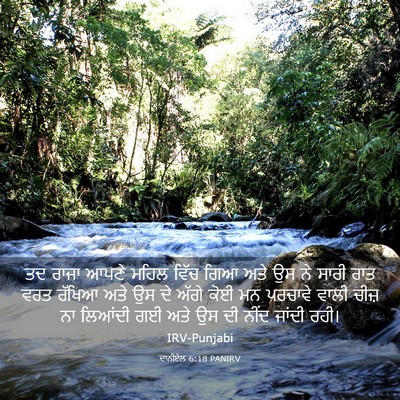 Picture 03 - ਦਾਨੀਏਲ 6:18 PANIRV - ਤਦ ਰਾਜਾ ਆਪਣੇ ਮਹਿਲ - Bible Verse Picture