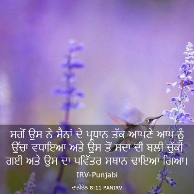 Picture 03 - ਦਾਨੀਏਲ 8:11 PANIRV - ਸਗੋਂ ਉਸ ਨੇ ਸੈਨਾਂ ਦੇ - Bible Verse Picture