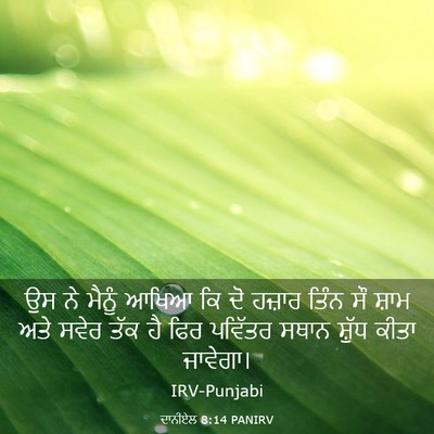 Picture 03 - ਦਾਨੀਏਲ 8:14 PANIRV - ਉਸ ਨੇ ਮੈਨੂੰ ਆਖਿਆ ਕਿ - Bible Verse Picture
