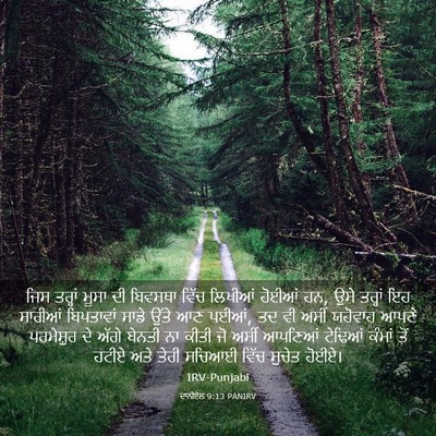 Picture 03 - ਦਾਨੀਏਲ 9:13 PANIRV - ਜਿਸ ਤਰ੍ਹਾਂ ਮੂਸਾ ਦੀ - Bible Verse Picture