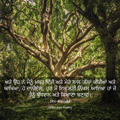 Picture 03 - ਦਾਨੀਏਲ 9:22 PANIRV - ਅਤੇ ਉਹ ਨੇ ਮੈਨੂੰ - Bible Verse Picture